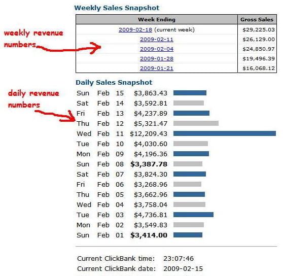daily business revenue from 1 website